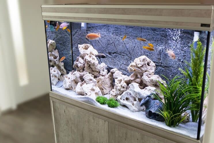 Acquario da 30 galloni
