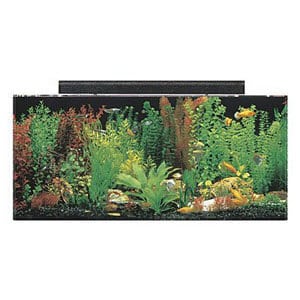 Set combinato acquario SeaClear