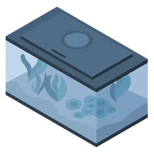 Perfetto per un pesce rosso