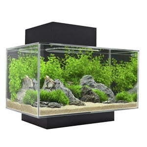 Acquario Fluval Edge