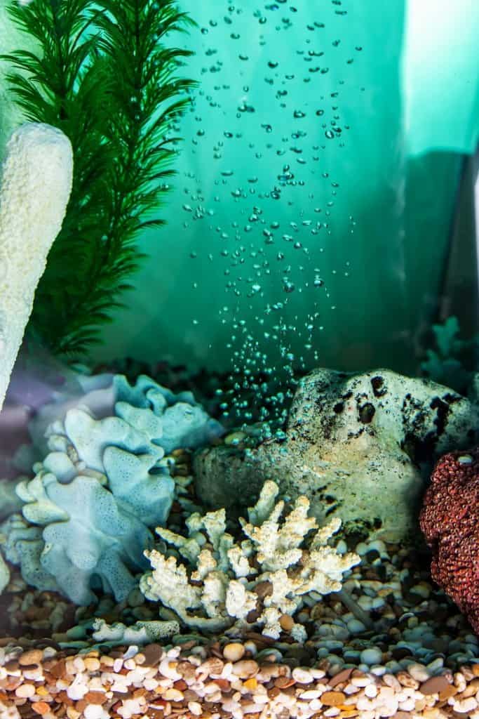 Pompa d'aria dell'acquario