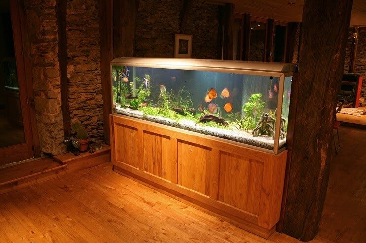 Sterilizzatore UV Discus Tank