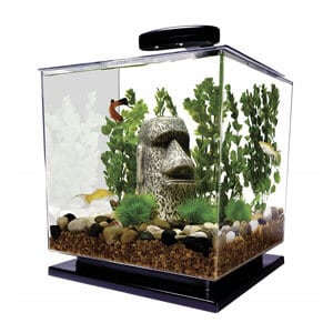L'Acquario Tetra