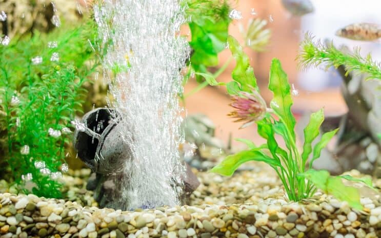 Decorazione dell'acquario con Air Stone