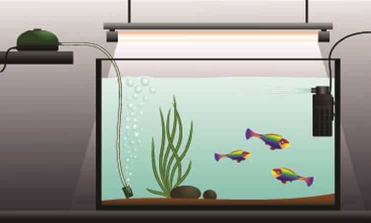 Configurazione della pompa dell'aria dell'acquario