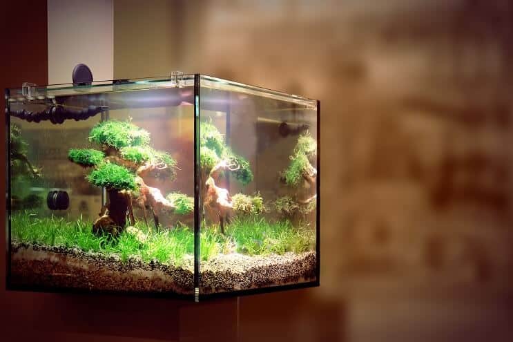 Illuminazione per acquari a LED