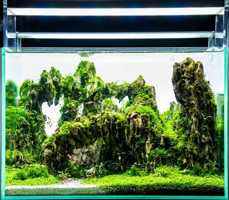 Illuminazione a LED sul serbatoio