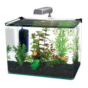 Penn Plax curvo acquario