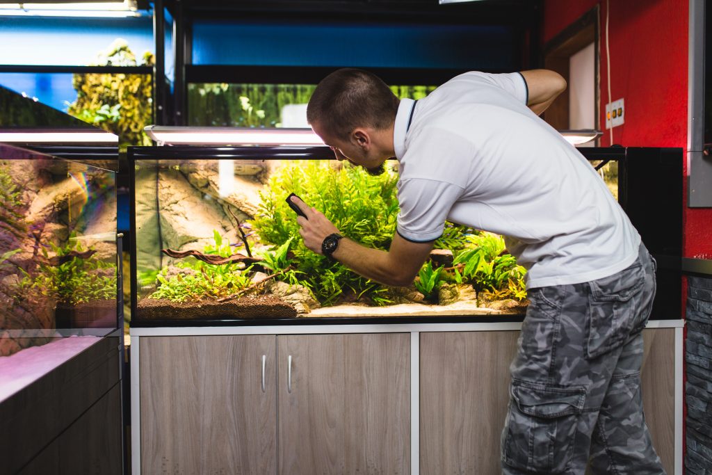 Come costruire un acquario