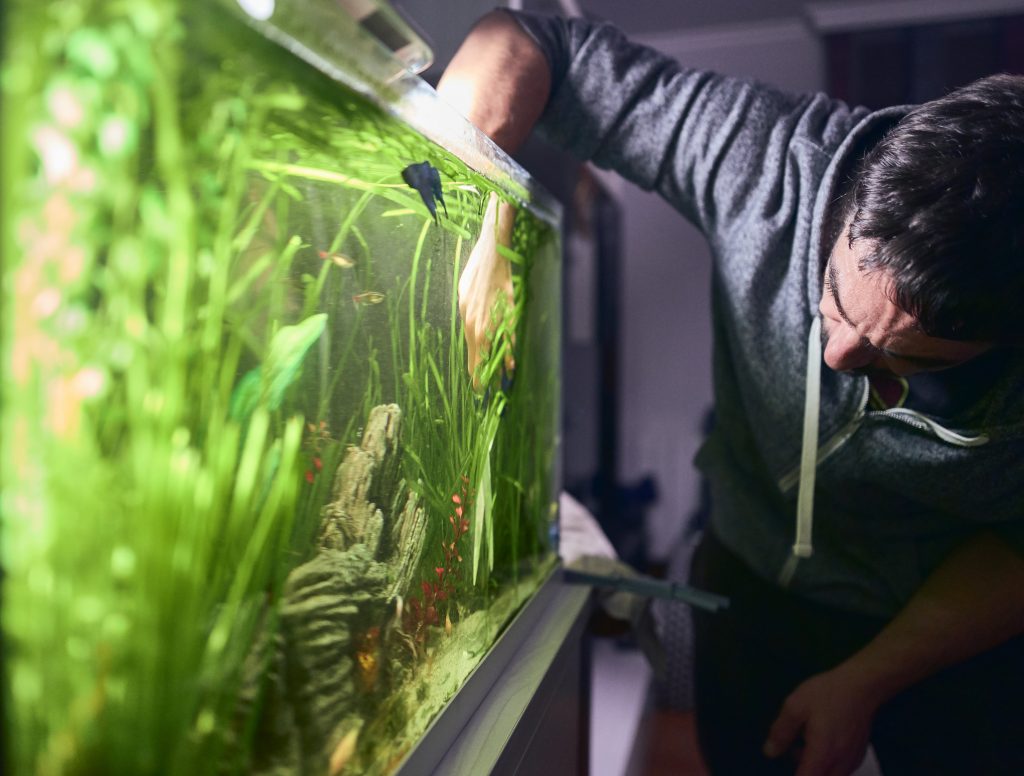 Come costruire un acquario
