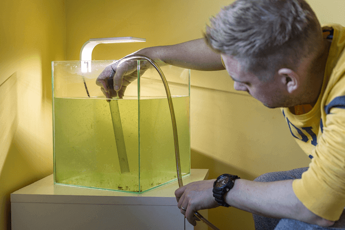 Sifone dell'acqua dal serbatoio