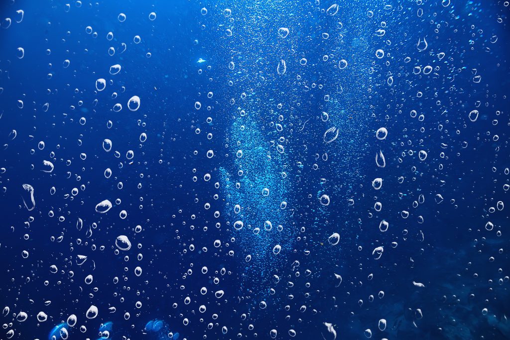 Come ciclare un acquario?