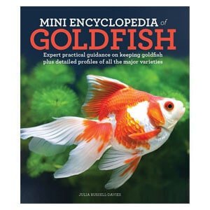 Una mini enciclopedia per il pesce rosso