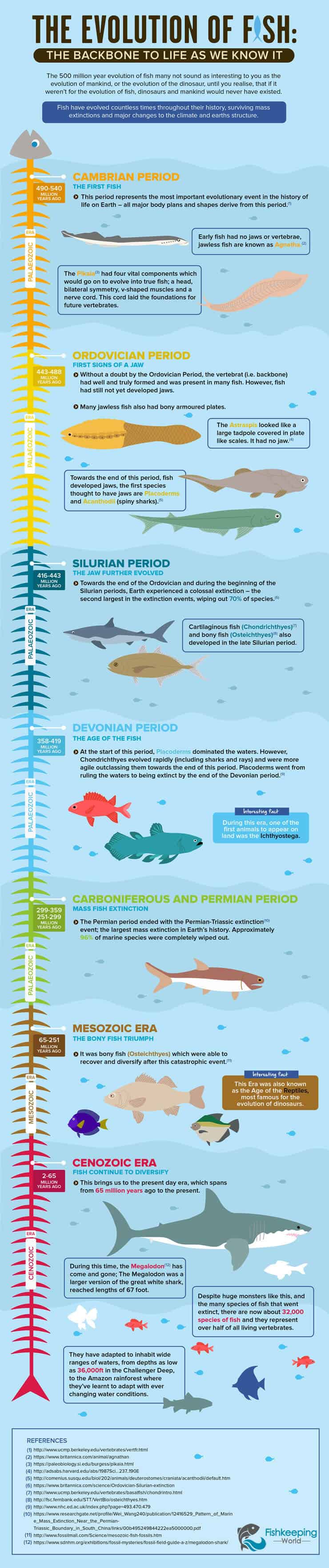 L'evoluzione del pesce Infografica