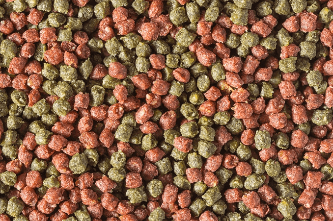 Pellet essiccato