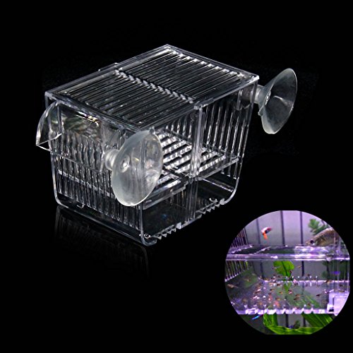 boxtech Acquario Serbatoio di pesci Incubatrice Incubatrice Scatola di allevamento, Acrilico Bianco Separatore di isolamento Separatore Scatole da cova Accessori Piccoli pesciolini Gamberetti Pesce pagliaccio Guppy