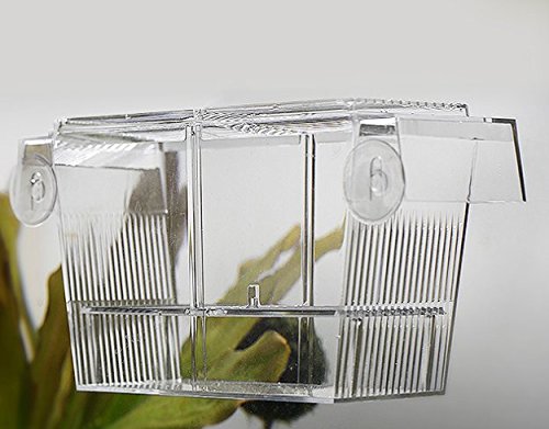 ISOLA ANIMALI Scatole per allevamento di pesci d'acquario Scatola di isolamento per incubatore da cova doppio Guppy (7,7 pollici)