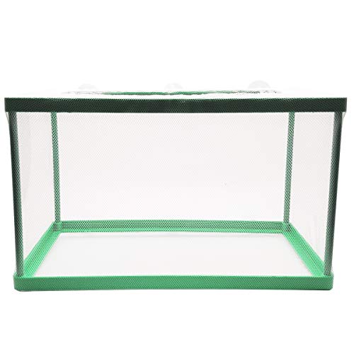 Scatola per allevamento di pesci d'acquario, Scatola per isolamento per pesci, Scatola per cova, Incubatrice per la deposizione delle uova di pesci giovani, Incubatoio con rete di isolamento dell'acqua (Verde)